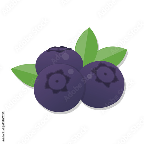 Fresh fruit blueberry cartoon illustration