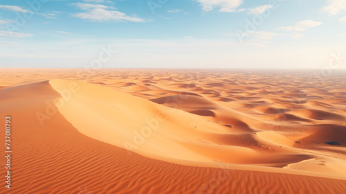 Sahara desert © Black