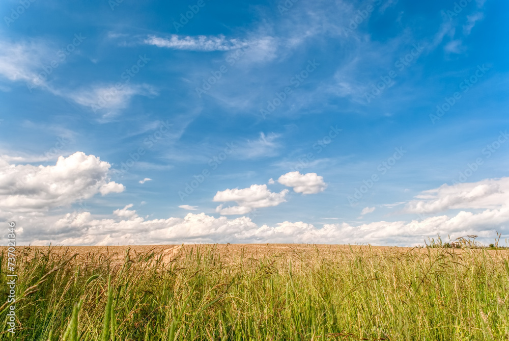 Country road and green landscape of farmland against blue sky in spring season. Advertising space concept. Country road and green landscape of farmland against blue sky in spring season. Advertising space concept.