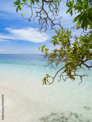 Fototapeta Naklejka Na Ścianę i Meble -  Seascape with clear ocean waves. Mantigue Island. Camiguin, Philippines.