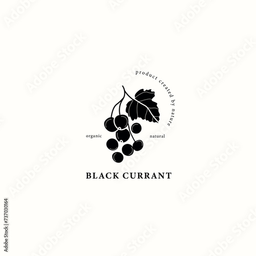Flat vector black currant branch drawing photo
