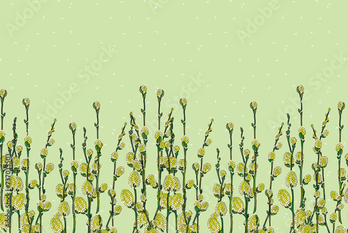 Illustration, Abstract of Green Pussy willow flower on light green background.
