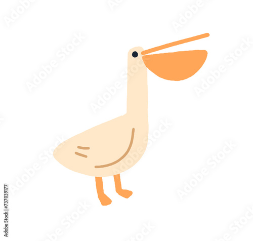 Cute pelican. Funny water bird, exotic tropical feathered animal with large b...