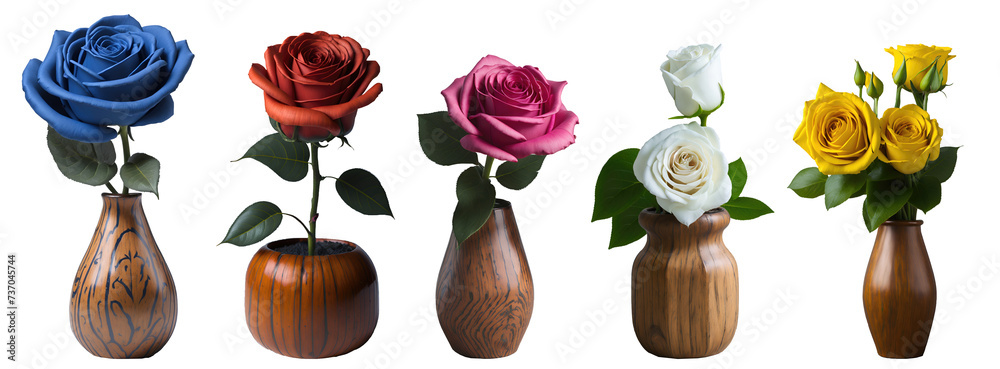 Set of various colourful blooming roses in wooden vase isolated on transparent background. Generative AI - obrazy, fototapety, plakaty 