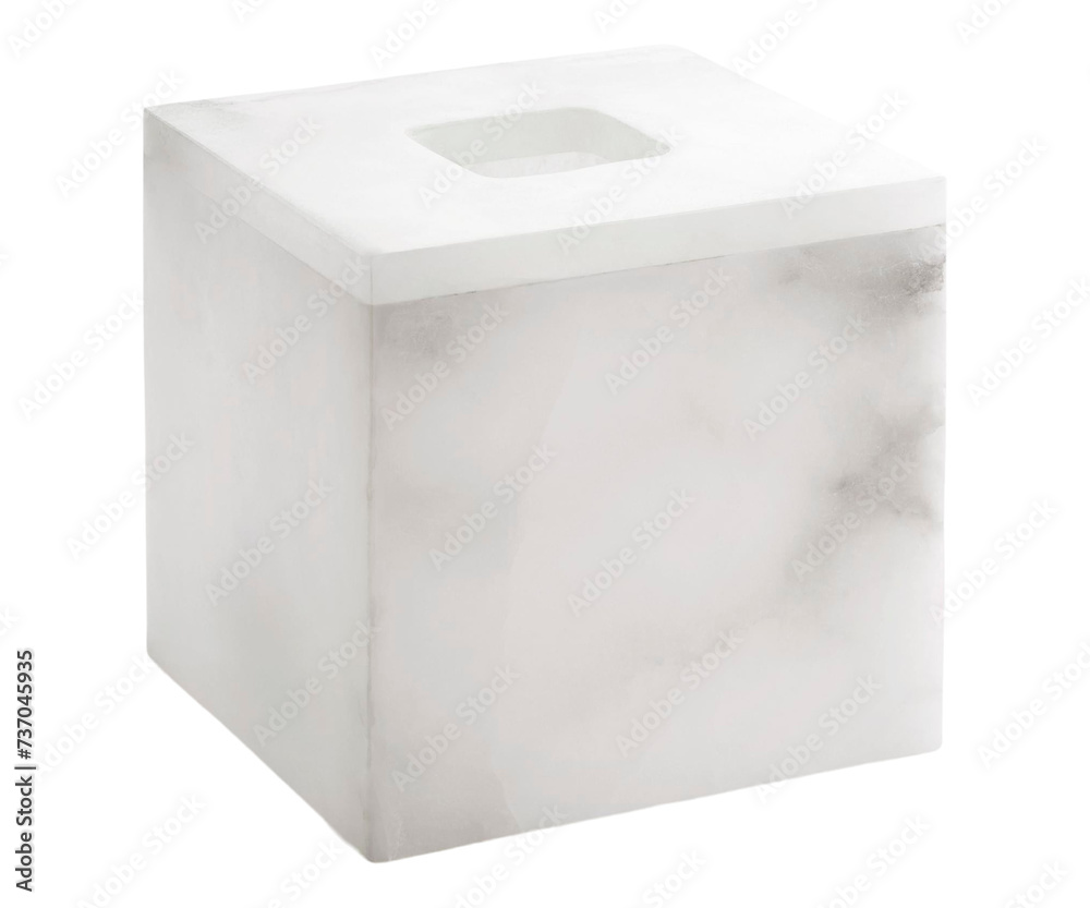 Fototapeta premium Image of Classic Tissue Box