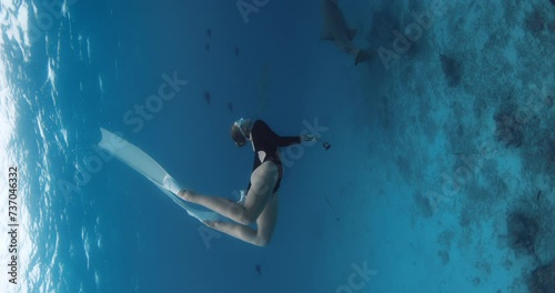 Woman free diver swims underwater in tropical sea with nurse sharks in Maldives. photo