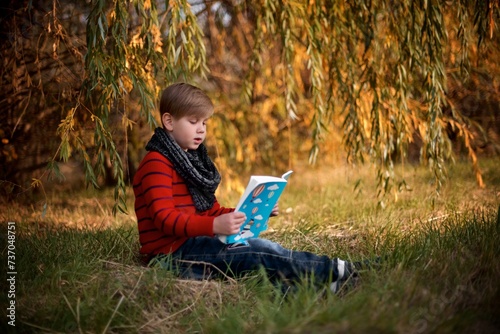  A boy in a red sweater sits near a yellow autumn tree and reads a book