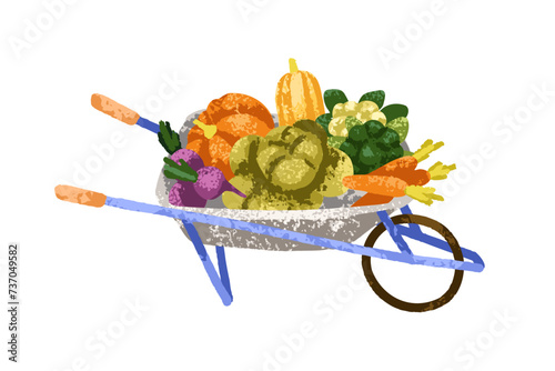 Farm harvest in wheelbarrow. Organic vegetables, natural fruits in wheel barrow. Eco garden crops, food products heap picked in agriculture cart. Flat vector illustration isolated on white background
