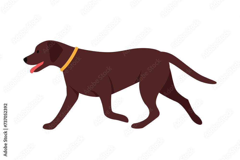 vector illustration on a white background of a dog running