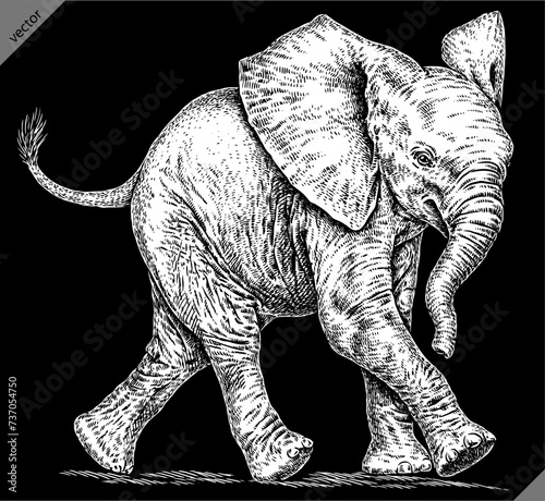 Vintage engraving isolated elephant set illustration ink sketch. African bishop background animal silhouette art. Black and white hand drawn vector image