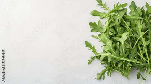 arugula background on white with space for text.