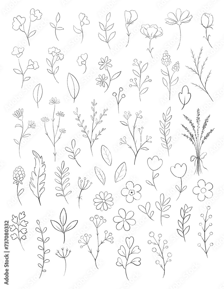 Fototapeta premium Outline set with black and white rustic varied simple small flowers, plants and leaves isolated on white background. Watercolor hand drawn illustration
