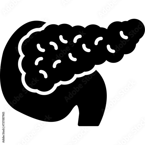 Pancreas Icon