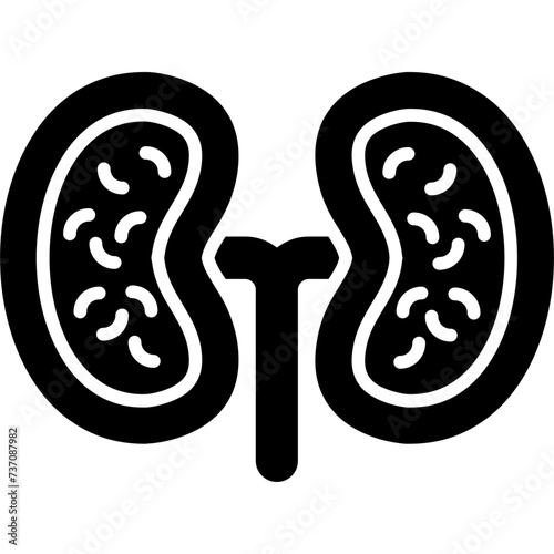 Kidney Icon