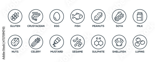 Simple Isolated Vector Logo Set Badge Ingredient Warning Label. Black and white Allergens icons. Food Intolerance. The 14 allergens required to declare written in english photo