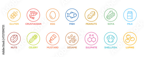 Simple Isolated Vector Logo Set Badge Ingredient Warning Label. Colorful Allergens icons. Food Intolerance. The 14 allergens required to declare written in english