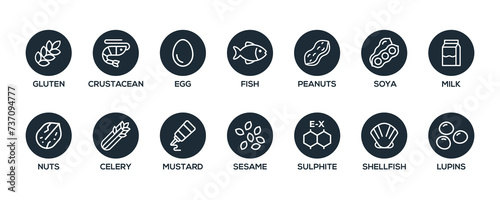 Isolated Vector Logo Set Badge Ingredient Warning Label. Black and white Allergens icons. Food Intolerance. The 14 allergens required to declare written in english