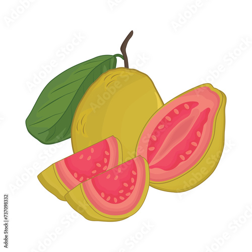 guava fruit with guava slice illustration photo