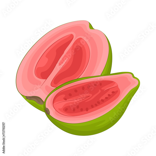 Illustration of half guava 