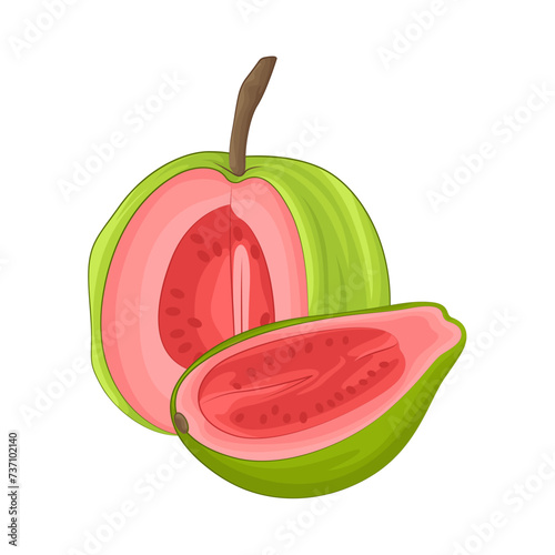 Illustration of guava 