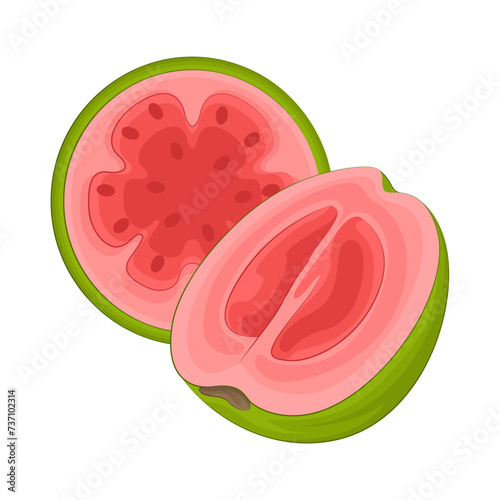 Illustration of half guava 
