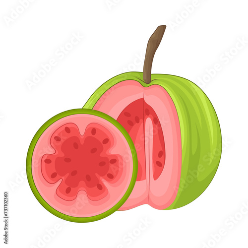 Illustration of guava 