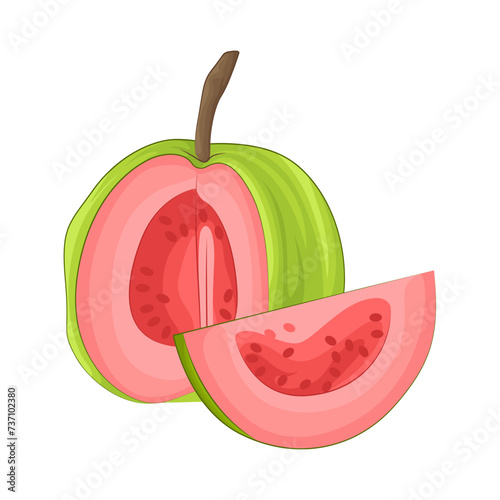 Illustration of guava 