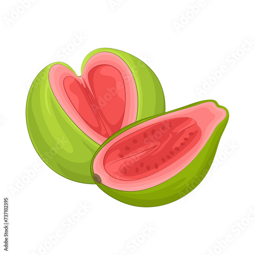 Illustration of guava 