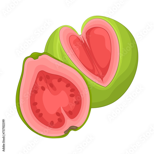 Illustration of guava 