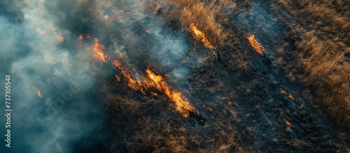 Aerial view of forest fire event with flames emitting heat and smoke. Firefighters using water to control the blaze and prevent pollution of landscape and air