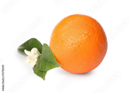 Fresh ripe orange with green leaves and flower on white background