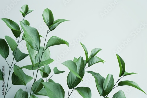 Fresh green leaves on branches isolated on a light background  minimalist nature concept.