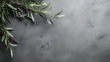 Wild olive branches on gray background. Copy space.
