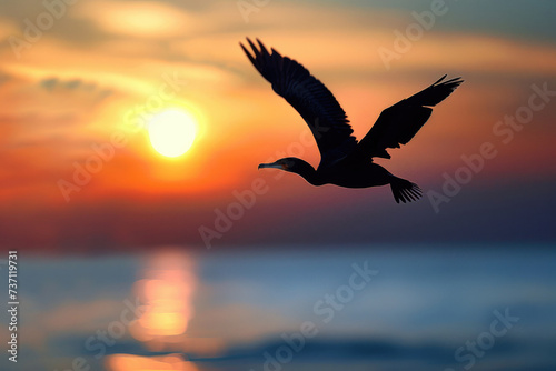 A cormorant soaring gracefully across the sky  its outstretched wings catching the sunlight