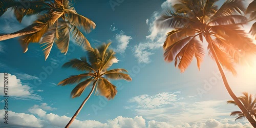 Blue sky and palm trees view from below, vintage style, tropical beach and summer background, travel concept 4K motion