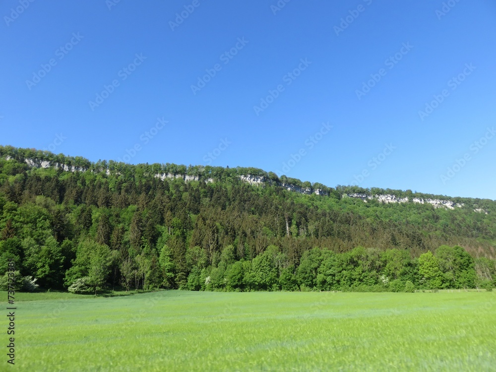 Obraz premium campagne