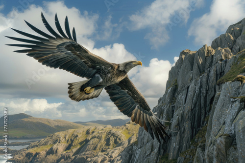 A majestic sea eagle soaring high above the rugged coastline