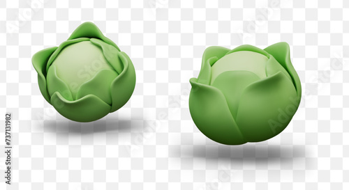 Green realistic cabbage in different positions. Fresh vegetables, farm products