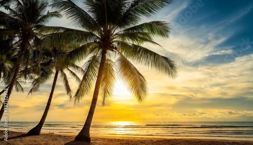 silhouette palm leaves or coconut tree on summer beach
