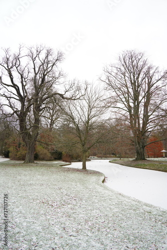 Photography Vibrant nature in Denmark