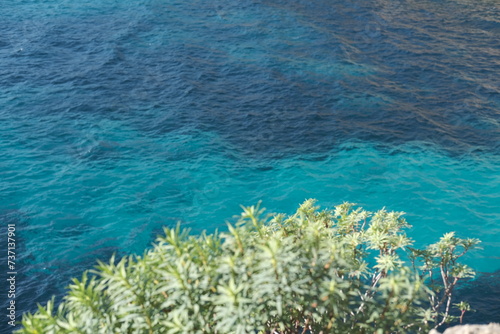 Obraz na płótnie Cap d'antibes sentier du littoral w salonie