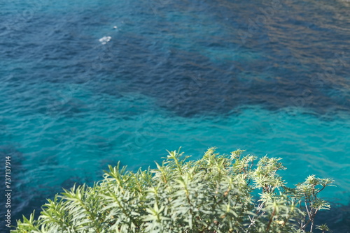 Obraz na płótnie Cap d'antibes sentier du littoral w salonie