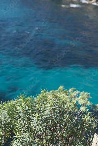 Obraz na płótnie Cap d'antibes sentier du littoral w salonie
