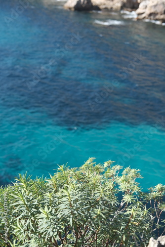 Obraz na płótnie Cap d'antibes sentier du littoral w salonie