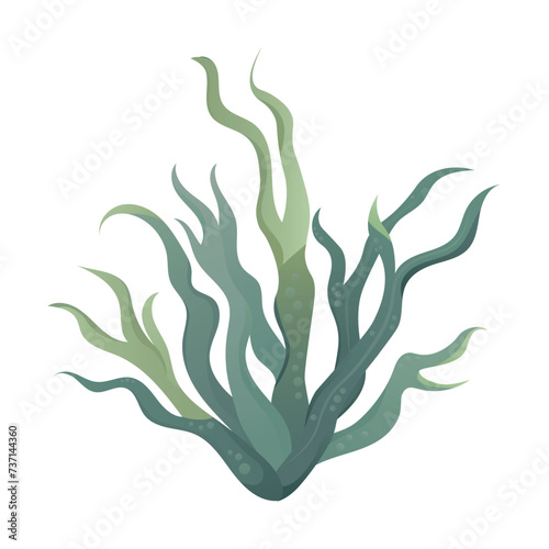 Algae of colorful set. Through creative illustration and thoughtful design, this artwork captures the beauty of seaweed in a nature-inspired theme against a clean white backdrop. Vector illustration.