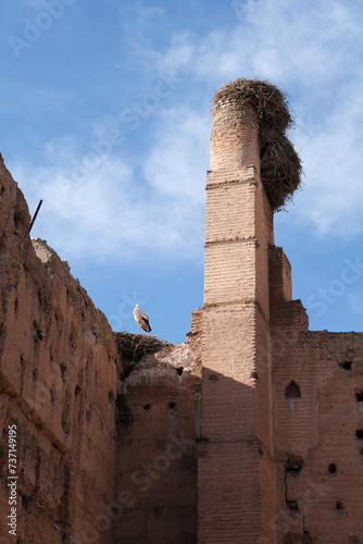 Palais el badii Marrakech cigogne