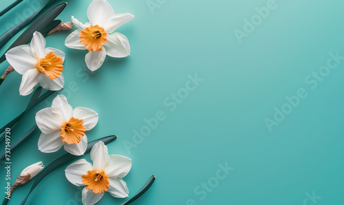 tranquil daffodil arrangement on a pastel turquoise background with a minimalist touch and copy space for text 