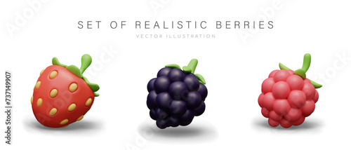 Set of realistic berries with shadows. Strawberry, blackberry, raspberry