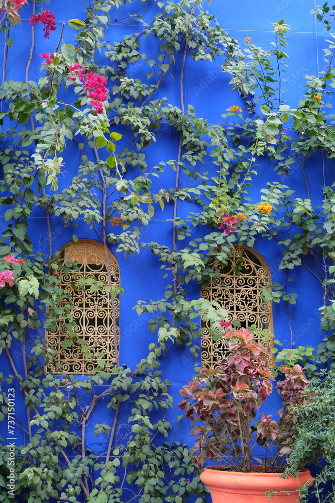 Jardin Majorelle Marrakech Maroc