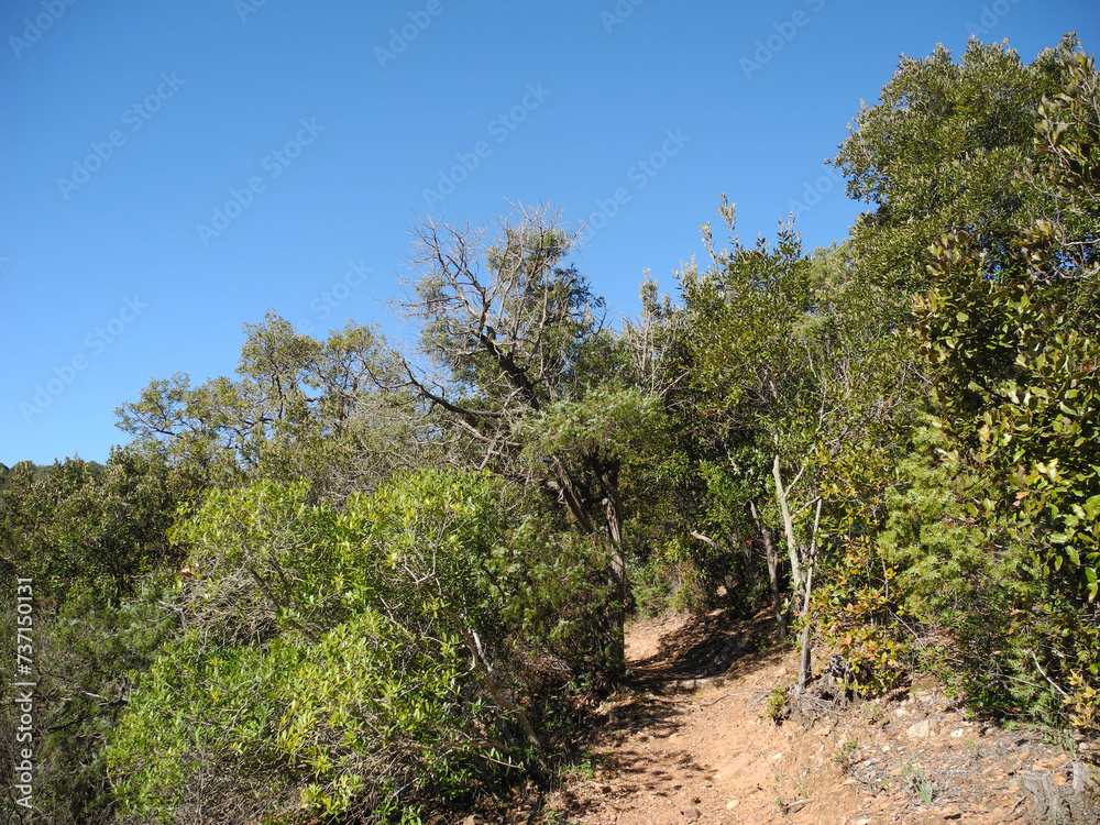 Immagini della natura in Sardegna Immagini della natura in Sardegna